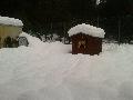 spgm-1.4.7/gal/La neve a Sfruz 02 febbraio 2014/_thb_neve2014sfruz2.jpg